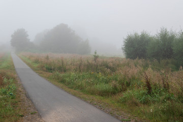 Dämmerung am Morgen mit etwas Nebel im Bruch von Bünde, eine Flußniederung, Tal des Flusses Else
