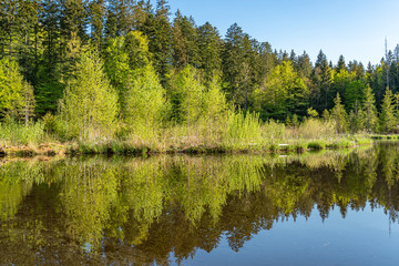 Fototapeta na wymiar Wälder umgeben den Hackensee in Bayern