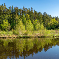 Wälder umgeben den Hackensee in Oberbayern