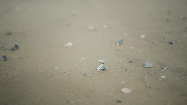 Close up of sand blown by the wind,