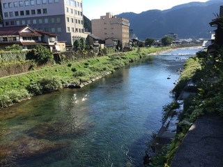 Fototapeta premium Scenery near Miyagase Bridge over the Yoshida River in Gujo Hachiman