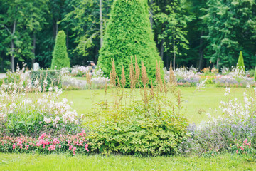 Obraz premium Landscape design. Park outdoor landscape.