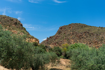 Fototapeta na wymiar mountainous area in southern Spain