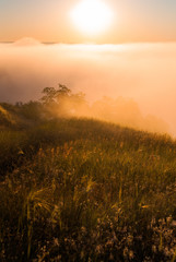 Sunrise over the cliff.
Morning haze at dawn on a cliff in summer.
freshness