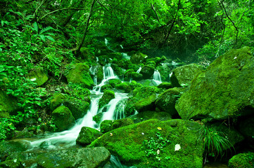 Mossy valley,Beautiful mountain stream with moss covered stone.