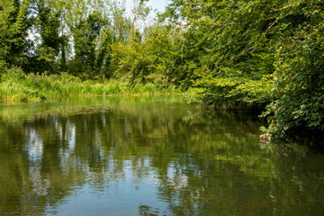 A tranquil  view looking upstream at Horstead Mill in rural norfolk england uk