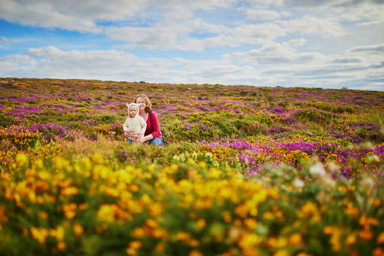 Mother and daughter in heather meadows on Cape d'Erquy, Brittany, France
