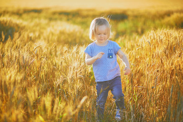 Naklejka na ściany i meble Adorable toddler girl on golden wheat field at sunset