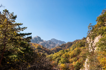 The landscape of autumn mountain background blue sky.
