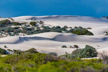 Lancelin is Australia's premier sandboarding destination. Pure white sand rises three storeys high...