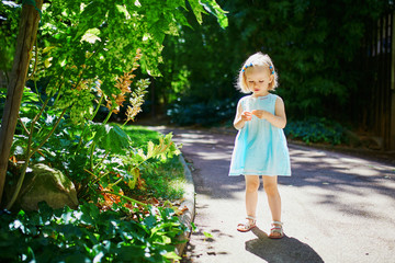 Adorable toddler girl having fun outdoors on a sunny summer day