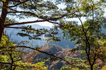 The landscape of autumn mountain background blue sky.