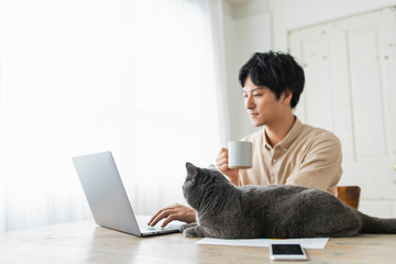 One man working remotely and a cat.