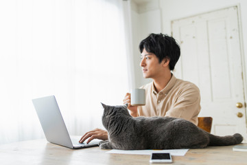 Fototapeta premium One man working remotely and a cat.