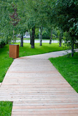 wooden path in the park.