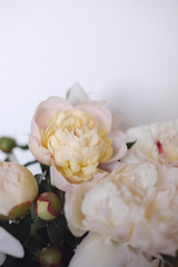 peonies in the bouquet, vertical