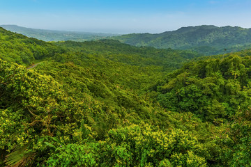 Fototapeta na wymiar A view across the jungle canopy near to Grand Etang Lake in Grenada