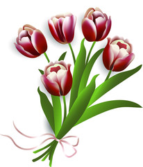 Bouquet of spring flowers tulips, decorative design, vector illustration