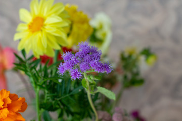 Beautiful wild flowers at home in a vase. Part of home decoration