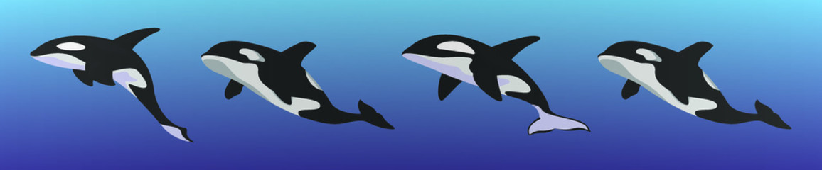 set of killer whale cartoon icon design template with various models. vector illustration