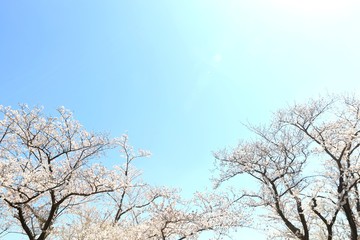 空のキャンバス