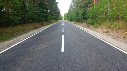 Malownicza droga przez las. © WalDec