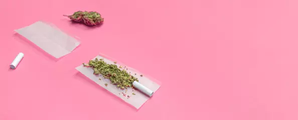 Fotobehang Marijuana and materials to roll a cannabis joint isolated on pink background with copy space right. © Kemedo