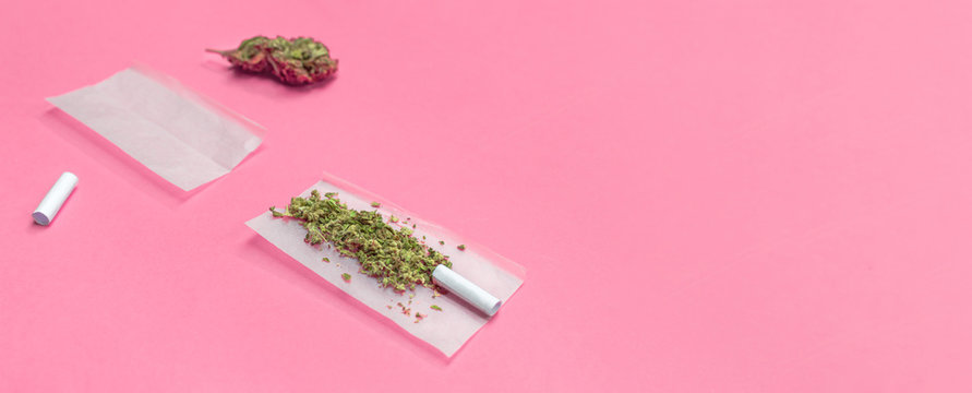 Marijuana and materials to roll a cannabis joint isolated on pink background with copy space right.