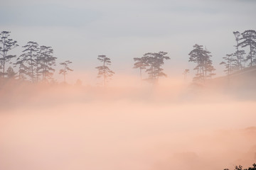 Fototapeta premium dramatic moment of fog and light at sunrise