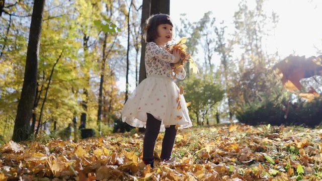 Cheerful cute little girl throwing up a yellow autumn fallen leaves slow motion