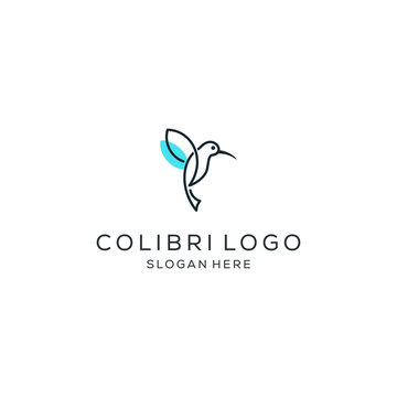 minimalist monoline line art colibri logo design vector