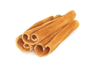 Watercolor cinnamon sticks isolated on white background.