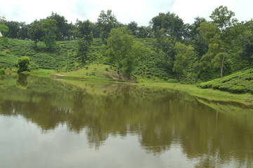 Fototapeta premium lake in the forest