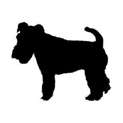 Fox Terrier Dog Silhouette Found In Map Of Europe