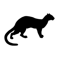 Fossa (Cryptoprocta ferox) Silhouette Found In Map Of Africa