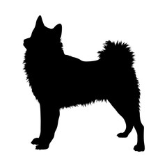 Finnish Spitz Silhouette Found In Map Of Europe Isolated On White Background