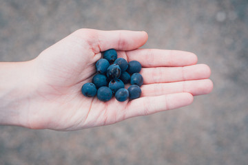 raisins dans la paume d'une main. Fruits dans une main