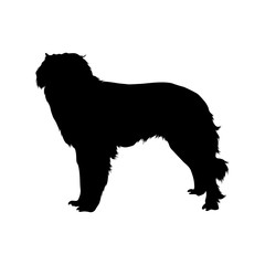 Naklejka premium Estrela Mountain Dog Silhouette Found In Map Of Europe