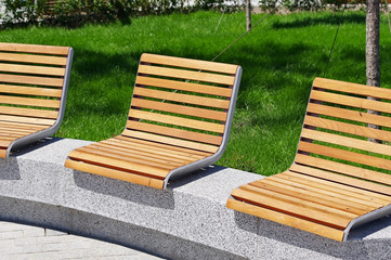 Wooden bench in the park