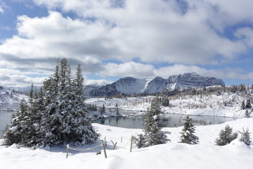 Sunshine Meadows in winter - Banff - Canada