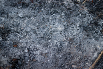 ash on the ground after burning