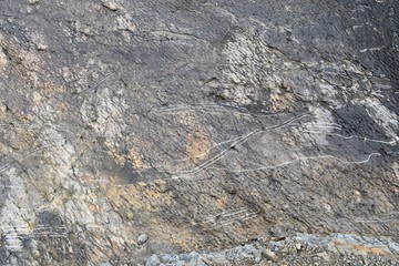 Trace in ichnite left by the Goniopholis dinosaur. Icnite site (dinosaur footprints) La Virgen del Campo, Enciso.