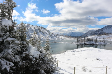Sunshine Meadows in winter - Banff - Canada