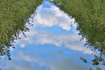 Wolkenspiegelung im kanal