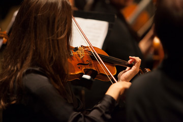 unrecognizable female brunette violinist playing in a professional orchestra. Shallow depth of...