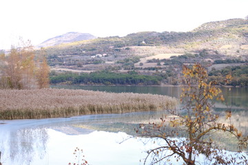 Lago con montañas por encima y vegetación