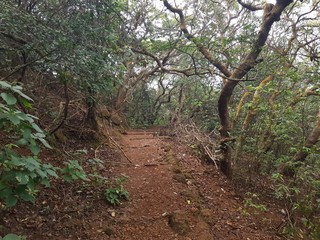 Landscape and nature photography