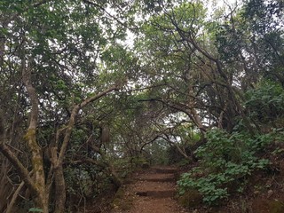 Landscape and nature photography