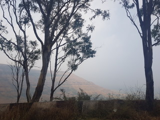 Landscape and nature photography