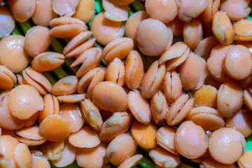 Sprouted yellow lentils in grains close-up macro